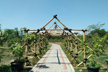 Taman Hutan Raya