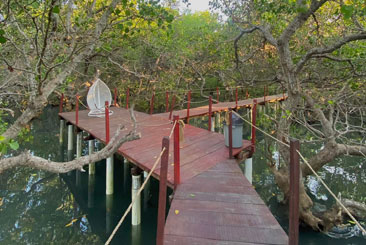 Taman Mangrove Kampoeng